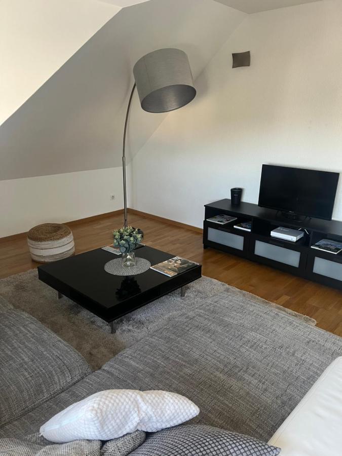 Bel Appartement Centre Climatise Parking Prive Colmar Exteriér fotografie