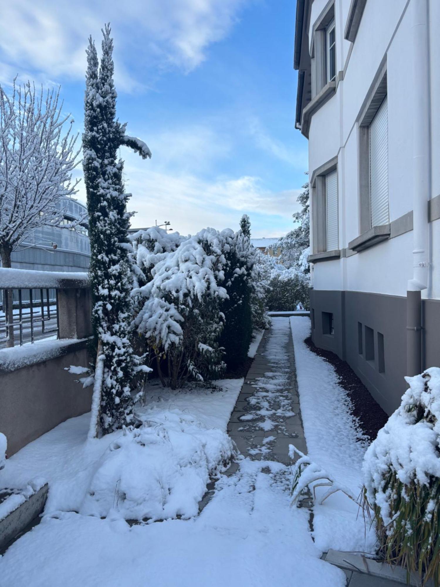 Bel Appartement Centre Climatise Parking Prive Colmar Exteriér fotografie